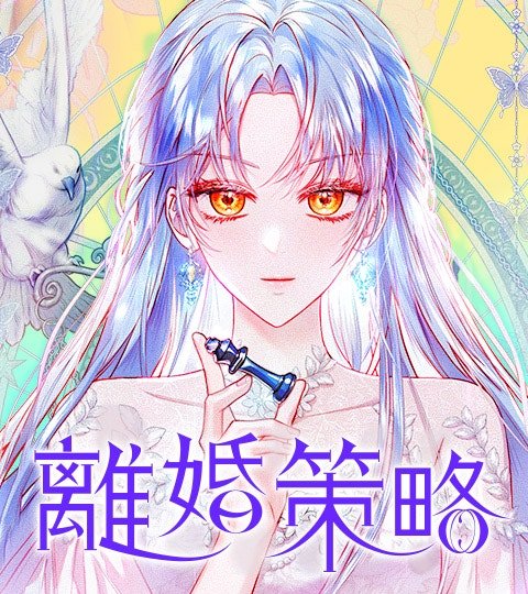 離婚策略封面